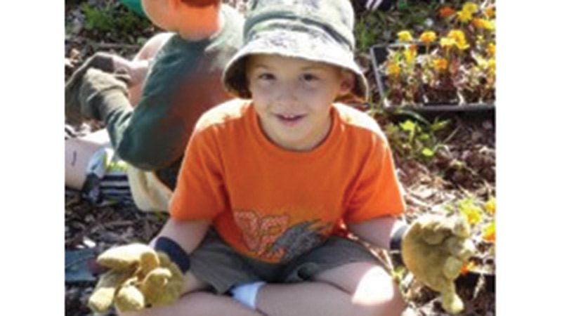 The Franciscan Earth Literacy Center (FELC)