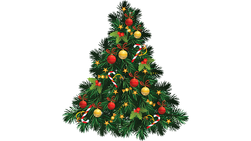 Recycle Christmas Trees