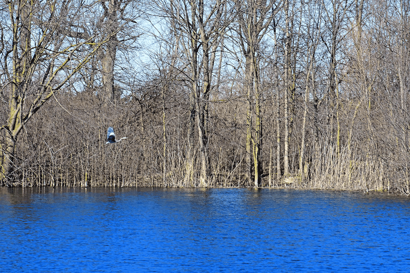 Findlay Family; Hancock parks offering new virtual nature, history programs
