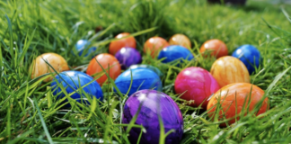 Easter eggs in the grass