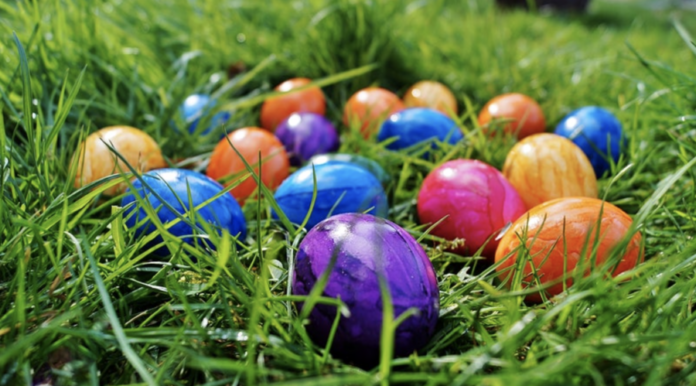 Easter eggs in the grass