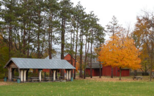 Litzenberg Memorial Woods