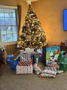 gifts under tree