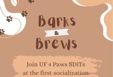 Service dog sitting in a mug with all the information about when and where the event is sitting in the center