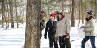 Small group of people tapping a maple tree.