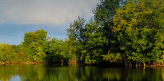 A horizontal view of Hancock Park District. Trees along a pond.