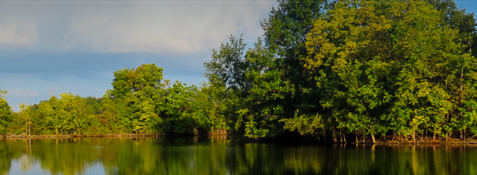 A horizontal view of Hancock Park District. Trees along a pond.