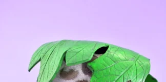 Example of a toad house