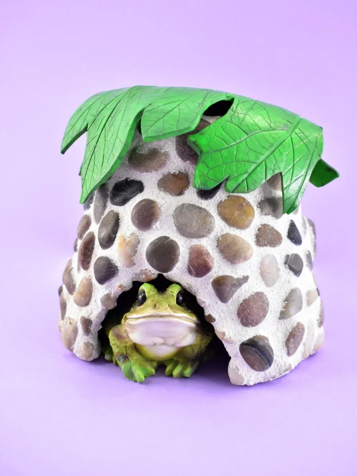 Example of a toad house