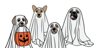 tricks treats and tails